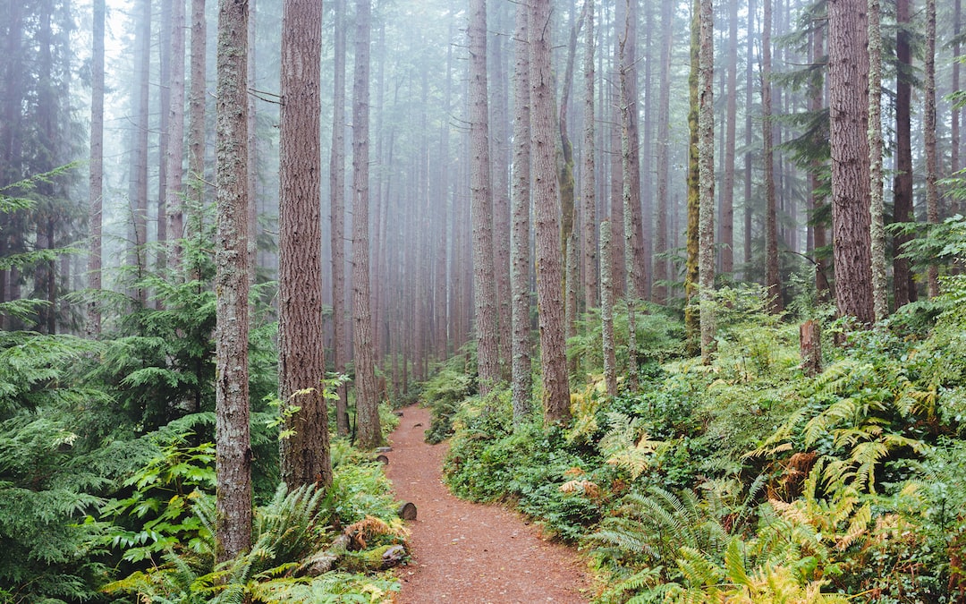 Issaquah