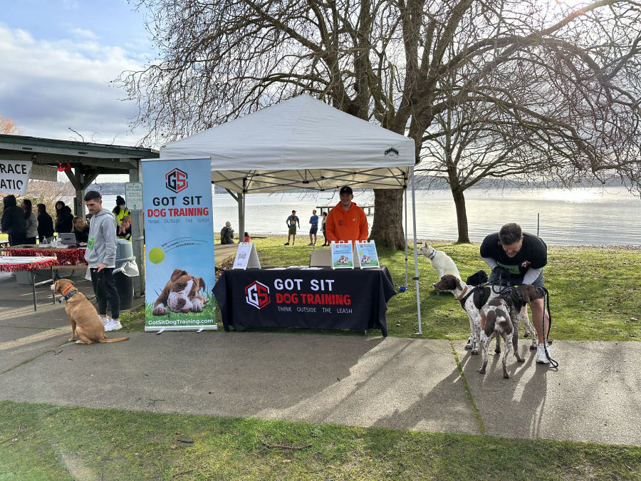 Got Sit Dog Training booth and dogs at the Magnuson Series 5k on Lake Washington
