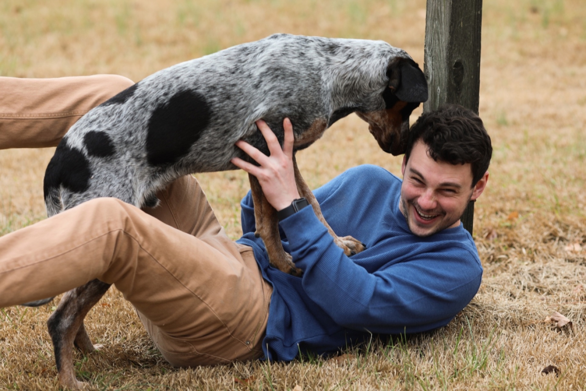 Dog owner playing with his hound on the lawn after an in-home training session