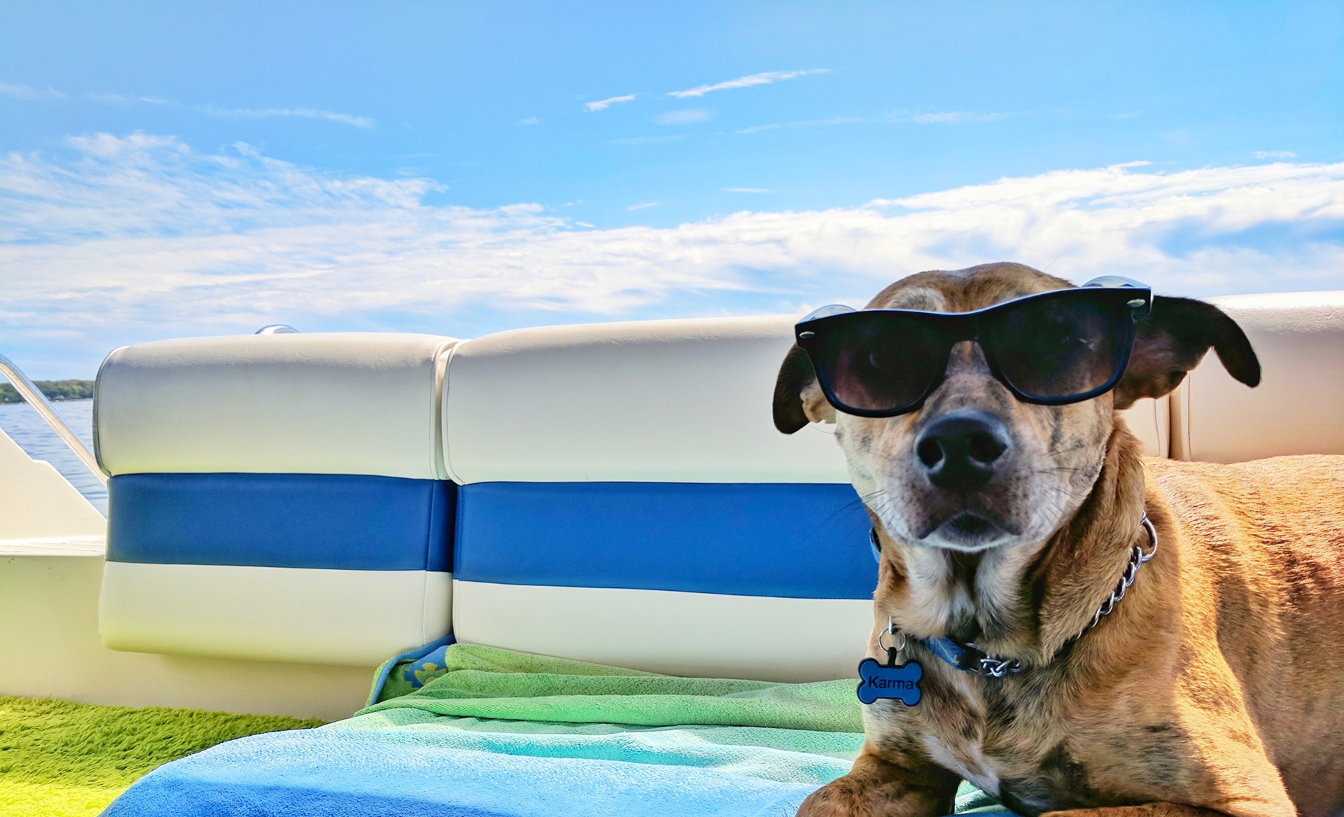 Dog wearing sunglasses relaxing on a boat after Got Sit training