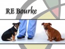 Teddy & Jake, a Jack Russell Terrier/ Red Hunt Terrier from Redmond, WA