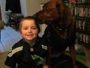 'Lazy Daisy' Mae, a Redbone Coonhound from Mukilteo, WA