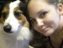 Goosey, a Border Collie/Blue Heeler Mix from Spanaway, WA