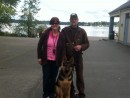 Wiley, a German Shepherd from Arlington, WA