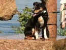 Quincy, a Mix from Bothell, WA