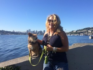 Sweet Penny Pie, a Jack-Yorkie Terrier Mix from Seattle, WA